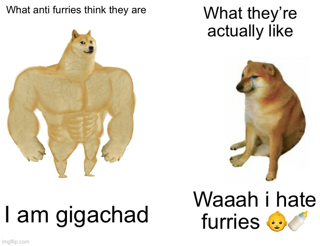 Fun fact: the average anti furry is 2 years old | What anti furries think they are; What they’re actually like; Waaah i hate furries 👶🍼; I am gigachad | image tagged in anti furry,spongebob ight imma head out,mocking spongebob,spongebob burning paper,furry hunting license | made w/ Imgflip meme maker