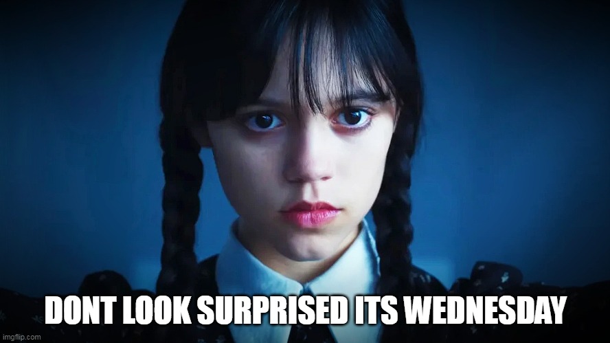 Dont look surprised its wednesday | DONT LOOK SURPRISED ITS WEDNESDAY | image tagged in wednesday addams,work,wednesday,it is wednesday my dudes,jenna ortega | made w/ Imgflip meme maker