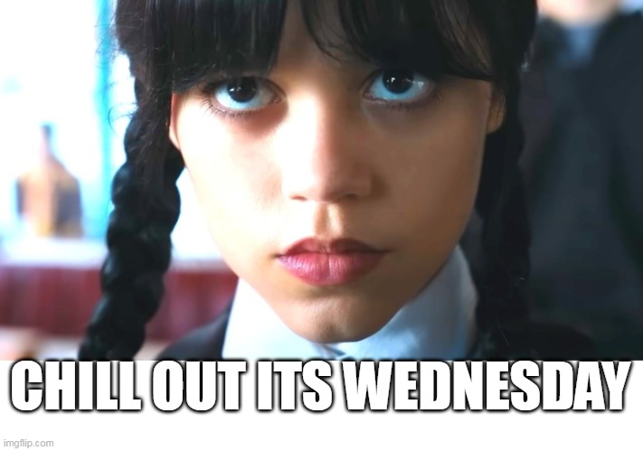 chill out its wednesday | CHILL OUT ITS WEDNESDAY | image tagged in wednesday,funny,work,wednesday addams,it is wednesday my dudes,chill | made w/ Imgflip meme maker