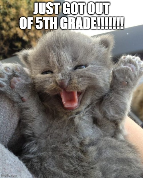 Going to 6th!!! | JUST GOT OUT OF 5TH GRADE!!!!!!! | image tagged in yay kitty,yay,funny memes | made w/ Imgflip meme maker
