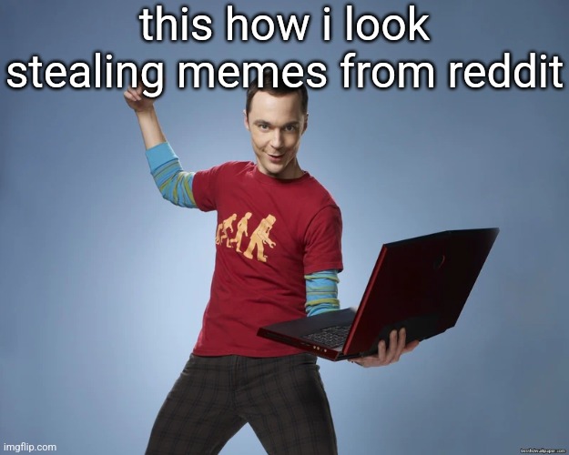 sheldon cooper laptop | this how i look stealing memes from reddit | image tagged in sheldon cooper laptop | made w/ Imgflip meme maker