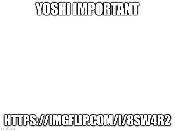 YOSHI IMPORTANT; HTTPS://IMGFLIP.COM/I/8SW4R2 | made w/ Imgflip meme maker