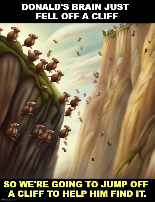 MAGA is devout cowardice. Everybody knows Trump is out of his mind. | DONALD'S BRAIN JUST 
FELL OFF A CLIFF; SO WE'RE GOING TO JUMP OFF 
A CLIFF TO HELP HIM FIND IT. | image tagged in trump,frontotemporal dementia,lemmings,cliff | made w/ Imgflip meme maker