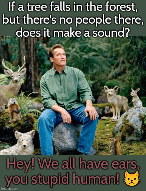 He's about to be eaten. | If a tree falls in the forest,
but there's no people there,
does it make a sound? Hey! We all have ears,
you stupid human! 😾 | image tagged in one with nature,philosopher,stop using anti-animal language,dangerous | made w/ Imgflip meme maker