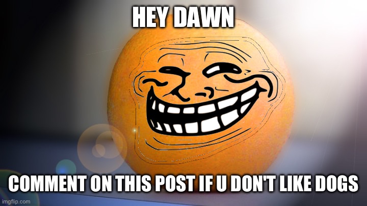 Troll orange | HEY DAWN; COMMENT ON THIS POST IF U DON'T LIKE DOGS | image tagged in troll orange | made w/ Imgflip meme maker