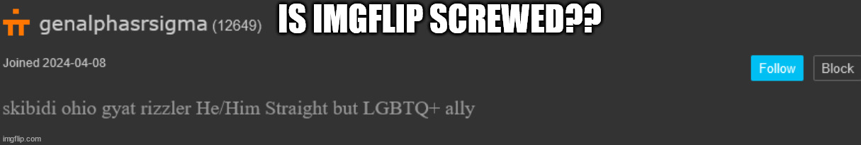 Just got back from valleyfair and I have not posted for awhile | IS IMGFLIP SCREWED?? | image tagged in msmg | made w/ Imgflip meme maker
