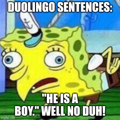 I swear Duolingo sentences are ridiculous | DUOLINGO SENTENCES:; "HE IS A BOY." WELL NO DUH! | image tagged in triggerpaul | made w/ Imgflip meme maker