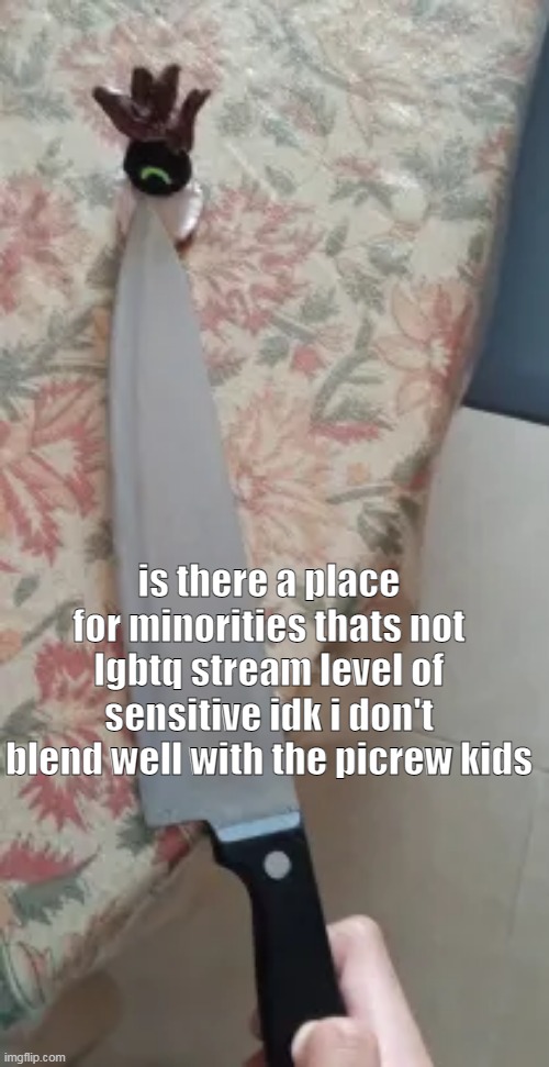 no | is there a place for minorities thats not lgbtq stream level of sensitive idk i don't blend well with the picrew kids | made w/ Imgflip meme maker