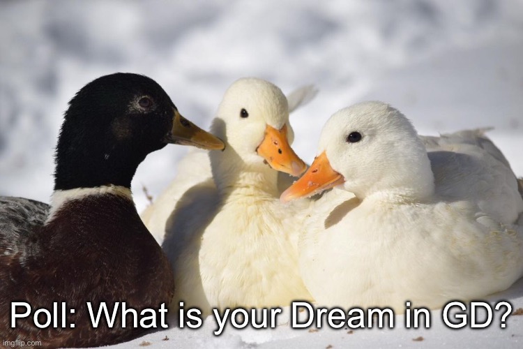 Dunkin Ducks | Poll: What is your Dream in GD? | image tagged in dunkin ducks | made w/ Imgflip meme maker