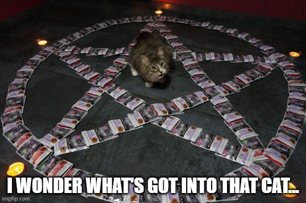 Satan's Cat | I WONDER WHAT'S GOT INTO THAT CAT... | image tagged in cats | made w/ Imgflip meme maker