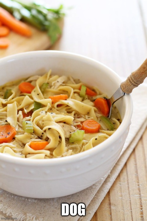 chicken soup | DOG | image tagged in chicken soup | made w/ Imgflip meme maker