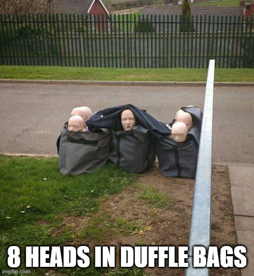 Heads | 8 HEADS IN DUFFLE BAGS | image tagged in unsee juice | made w/ Imgflip meme maker