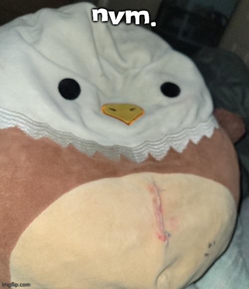 disgusted edward | nvm. | image tagged in disgusted edward | made w/ Imgflip meme maker