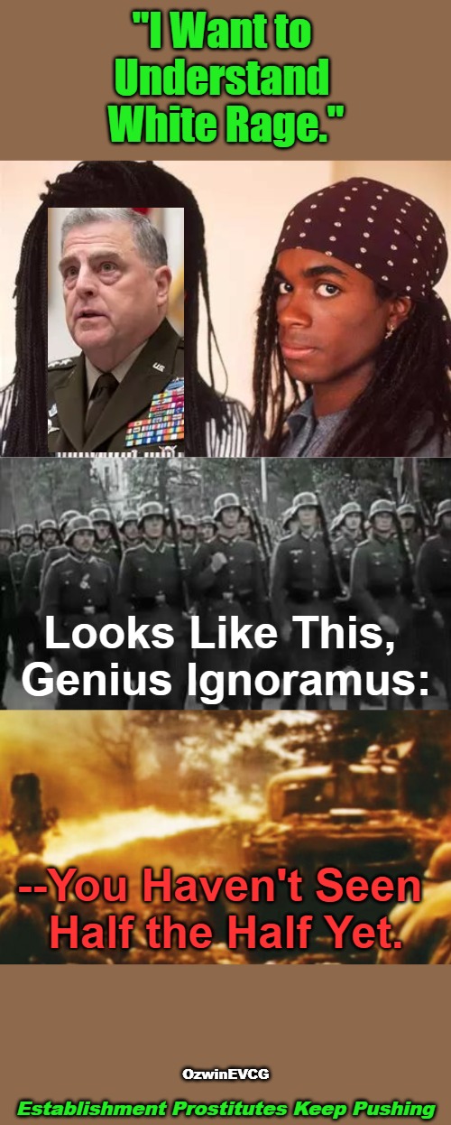 History Lesson from a Peace Activist for Folks Who Pretend to Care About Addressing Anger and Preventing Violence | "I Want to 

Understand 

White Rage."; Looks Like This, 

Genius Ignoramus:; --You Haven't Seen 

Half the Half Yet. OzwinEVCG; Establishment Prostitutes Keep Pushing | image tagged in mark milley,antiwhite,gaslighting,occupied usa,liberal logic,white rage | made w/ Imgflip meme maker