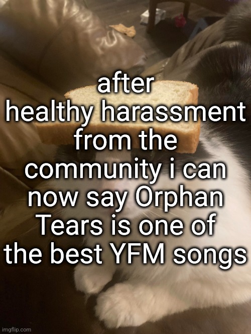 bread cat | after healthy harassment from the community i can now say Orphan Tears is one of the best YFM songs | image tagged in bread cat | made w/ Imgflip meme maker