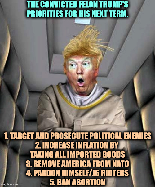 Trump crazy loony nuts insane psychotic pathological | THE CONVICTED FELON TRUMP'S PRIORITIES FOR HIS NEXT TERM. 1. TARGET AND PROSECUTE POLITICAL ENEMIES

2. INCREASE INFLATION BY 
TAXING ALL IMPORTED GOODS

3. REMOVE AMERICA FROM NATO

4. PARDON HIMSELF/J6 RIOTERS

5. BAN ABORTION | image tagged in trump crazy loony nuts insane psychotic pathological,convicted felon,trump,deranged,priorities | made w/ Imgflip meme maker