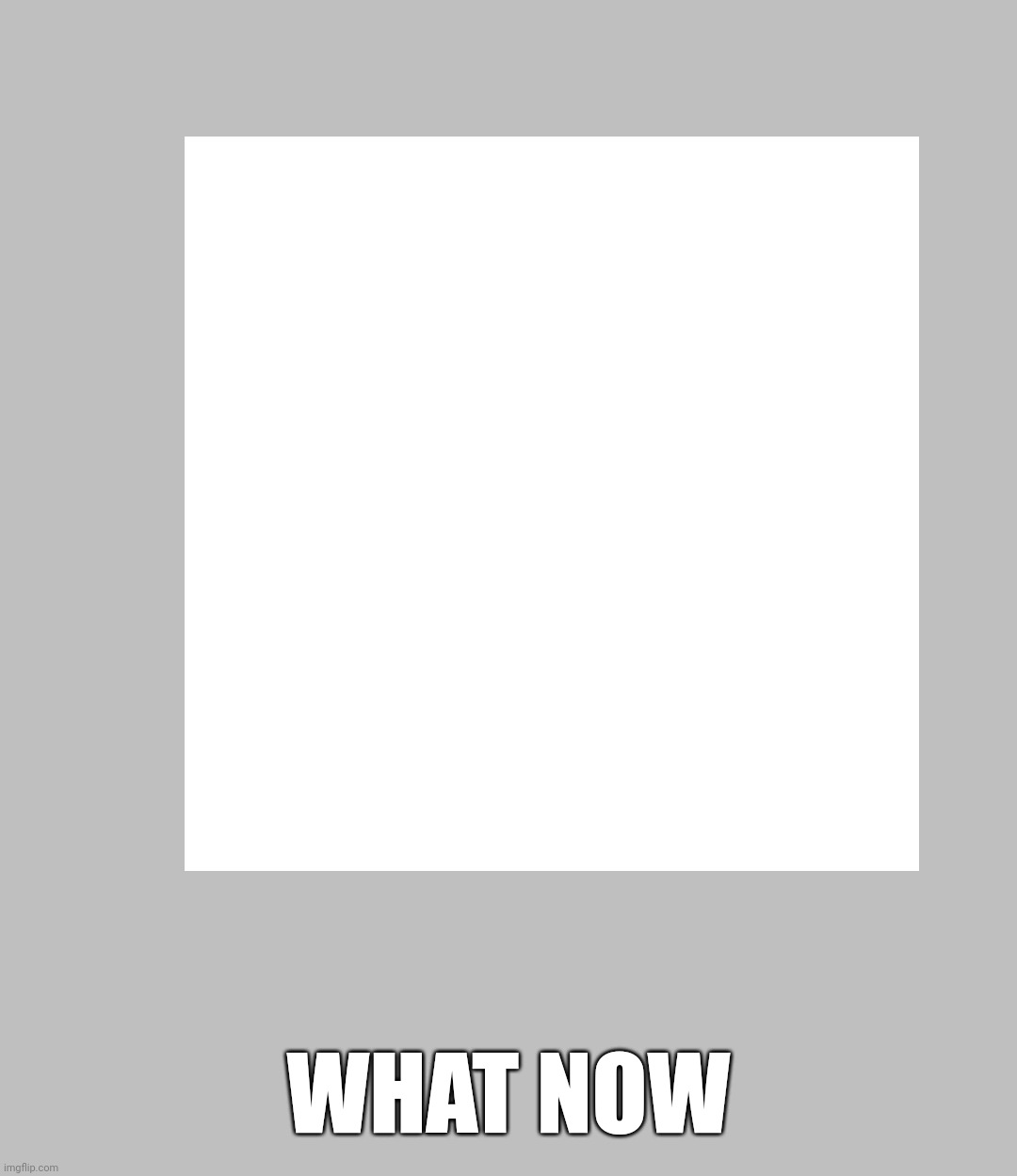 WHAT NOW | made w/ Imgflip meme maker