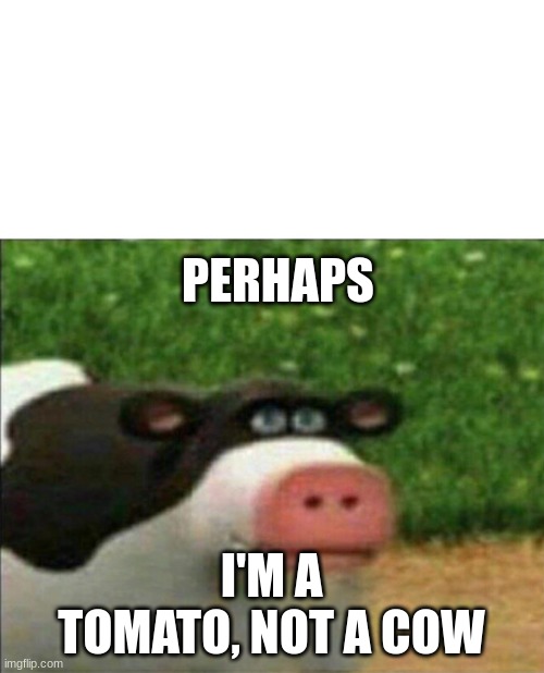 PERHAPS I'M A TOMATO, NOT A COW | image tagged in perhaps cow | made w/ Imgflip meme maker