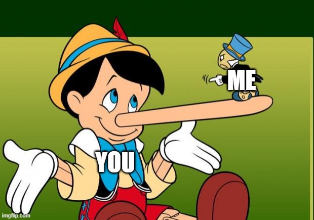 Liar | YOU ME | image tagged in liar | made w/ Imgflip meme maker