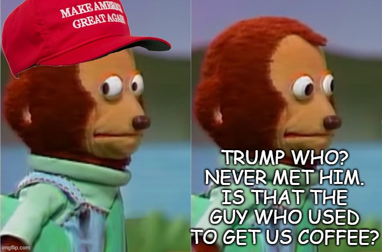Trump's Congressional bootlickers in the not too distant future. | TRUMP WHO? NEVER MET HIM. IS THAT THE GUY WHO USED TO GET US COFFEE? | image tagged in puppet monkey looking away,american politics | made w/ Imgflip meme maker