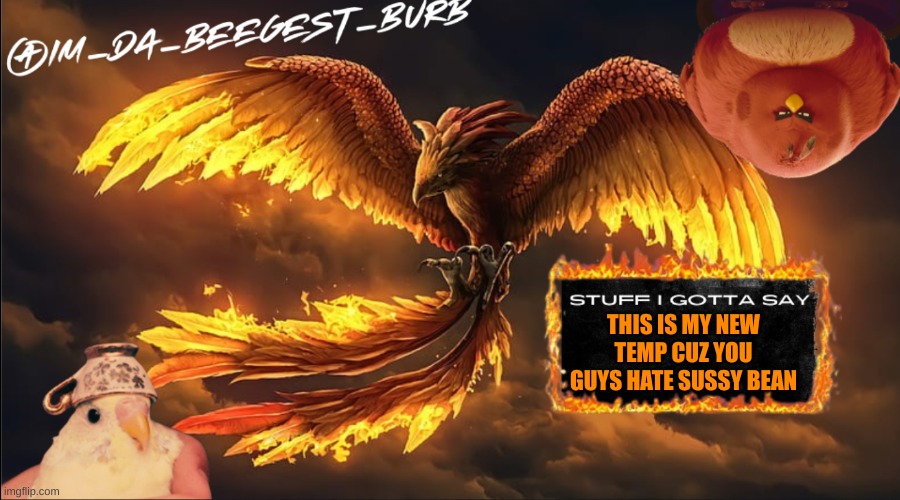 IM_DA_BEEGEST_BURD's announcement temp | THIS IS MY NEW TEMP CUZ YOU GUYS HATE SUSSY BEAN | image tagged in im_da_beegest_burd's announcement temp | made w/ Imgflip meme maker
