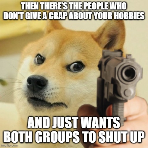 Doge holding a gun | THEN THERE'S THE PEOPLE WHO DON'T GIVE A CRAP ABOUT YOUR HOBBIES; AND JUST WANTS BOTH GROUPS TO SHUT UP | image tagged in doge holding a gun | made w/ Imgflip meme maker