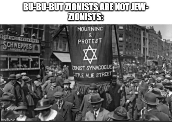 Like, how brain dead are these Hamas supporters? | BU-BU-BUT ZIONISTS ARE NOT JEW-
ZIONISTS: | image tagged in israel,israel jews,jews | made w/ Imgflip meme maker