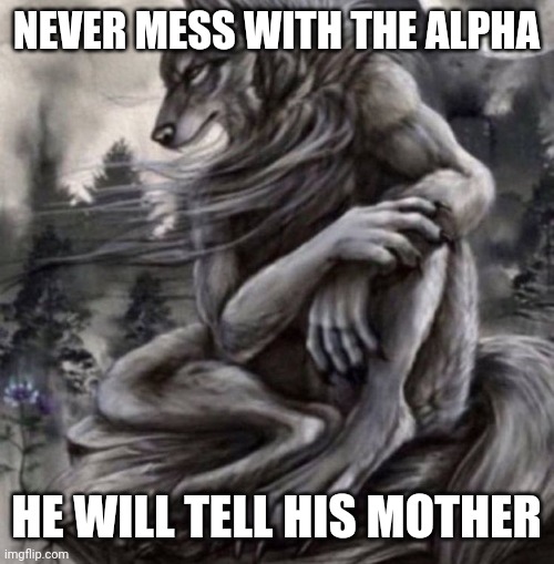 Alpha wolf | NEVER MESS WITH THE ALPHA; HE WILL TELL HIS MOTHER | image tagged in alpha wolf | made w/ Imgflip meme maker