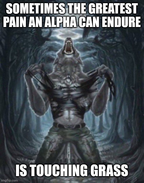 alpha wolf | SOMETIMES THE GREATEST PAIN AN ALPHA CAN ENDURE; IS TOUCHING GRASS | image tagged in alpha wolf | made w/ Imgflip meme maker