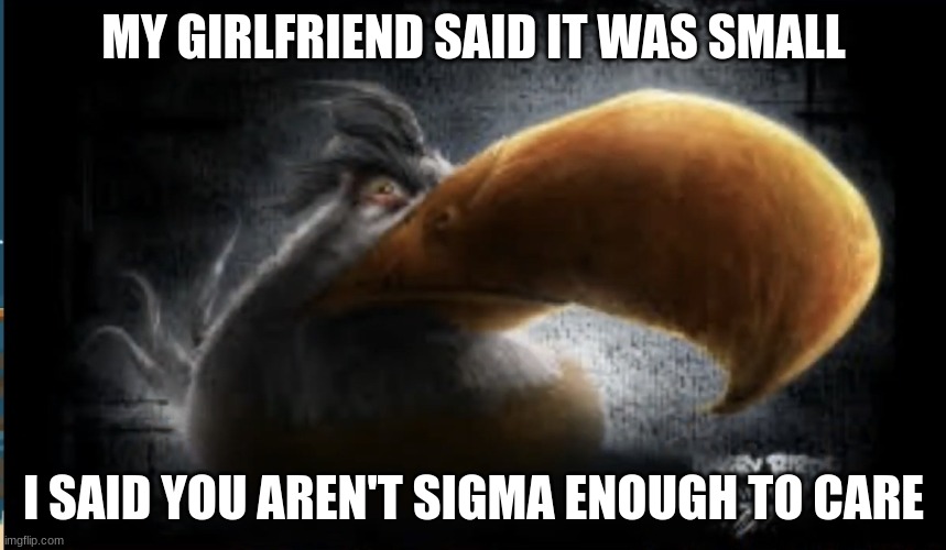 Realistic Mighty Eagle | MY GIRLFRIEND SAID IT WAS SMALL; I SAID YOU AREN'T SIGMA ENOUGH TO CARE | image tagged in realistic mighty eagle | made w/ Imgflip meme maker