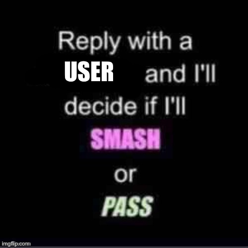 Smash or Pass | USER | image tagged in smash or pass | made w/ Imgflip meme maker
