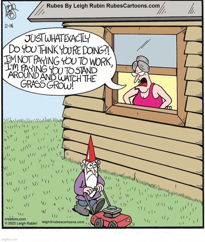 Garden Gnome Overachievers | image tagged in comic strips,funny,memes,gnomes | made w/ Imgflip meme maker