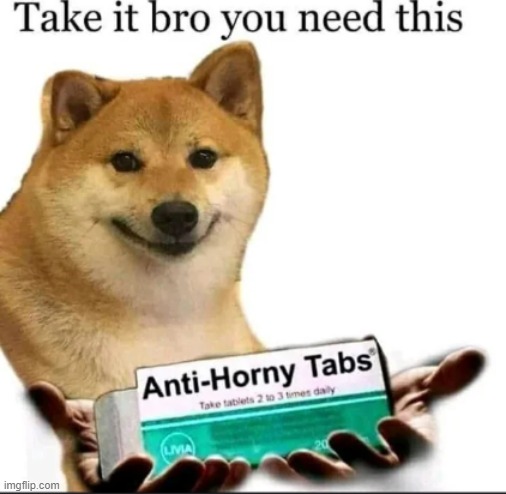 Take them 2 - 3 times a day | image tagged in anti - horny tabs | made w/ Imgflip meme maker