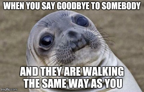 Awkward Moment Sealion | WHEN YOU SAY GOODBYE TO SOMEBODY AND THEY ARE WALKING THE SAME WAY AS YOU | image tagged in memes,awkward moment sealion,AdviceAnimals | made w/ Imgflip meme maker