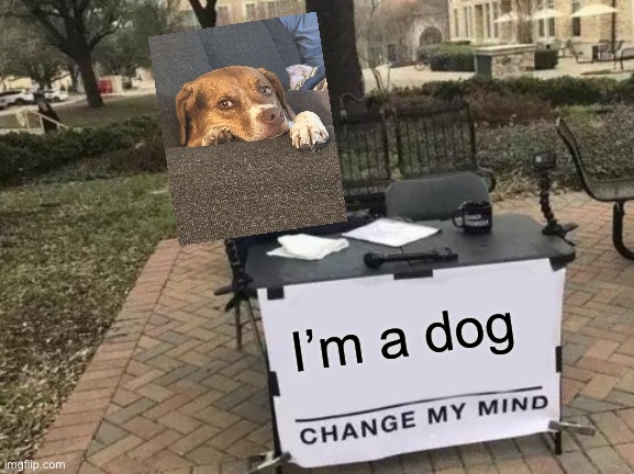 Change My Mind | I’m a dog | image tagged in memes,change my mind | made w/ Imgflip meme maker