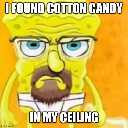 Fr help | I FOUND COTTON CANDY; IN MY CEILING | image tagged in spongebob walter white | made w/ Imgflip meme maker