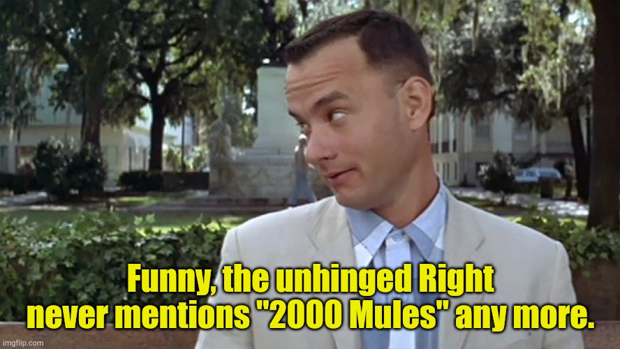 Defamation lawsuits will have that effect. | Funny, the unhinged Right never mentions "2000 Mules" any more. | image tagged in forrest gump face | made w/ Imgflip meme maker