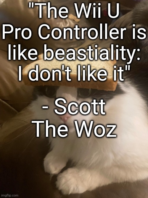 h | "The Wii U Pro Controller is like beastiality: I don't like it"; - Scott The Woz | image tagged in bread cat | made w/ Imgflip meme maker