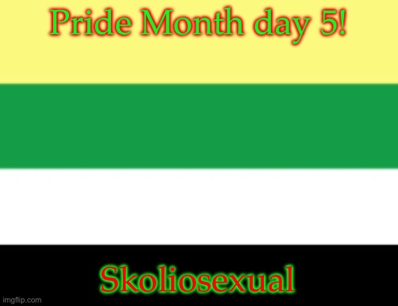 Skoliosexual | Pride Month day 5! Skoliosexual | image tagged in skoliosexual pride flag | made w/ Imgflip meme maker