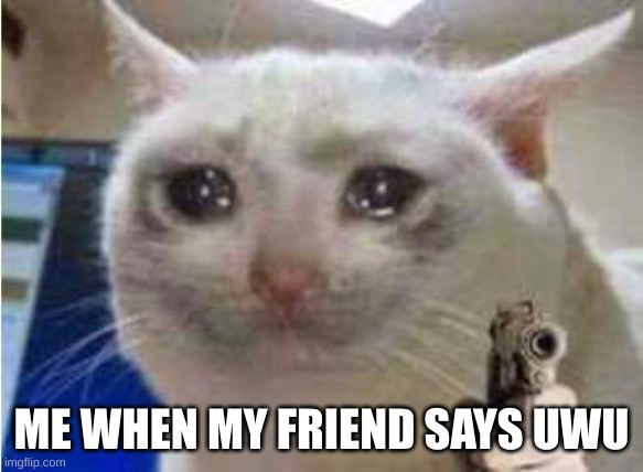 Sad cat with gun | ME WHEN MY FRIEND SAYS UWU | image tagged in sad cat with gun | made w/ Imgflip meme maker