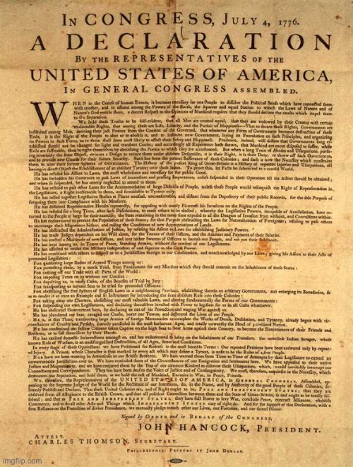 Declaration of Independence  | image tagged in declaration of independence | made w/ Imgflip meme maker