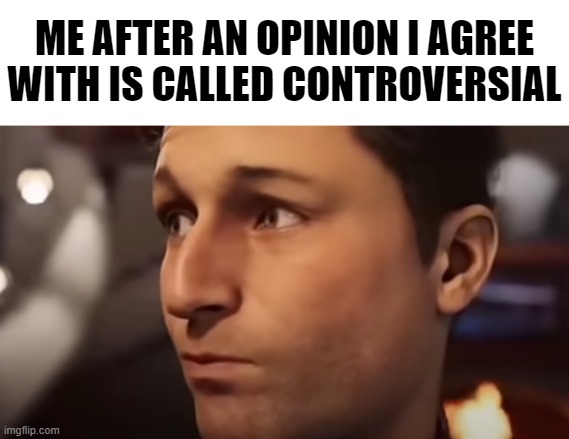 ME AFTER AN OPINION I AGREE WITH IS CALLED CONTROVERSIAL | image tagged in msmg | made w/ Imgflip meme maker