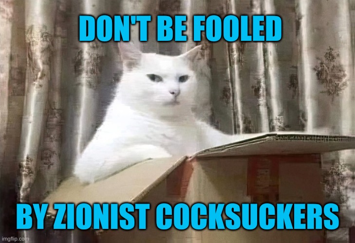 Don't be fooled. | DON'T BE FOOLED; BY ZIONIST COCKSUCKERS | image tagged in cat in a box,don't be like bill,zionism,nwo,stop right there | made w/ Imgflip meme maker