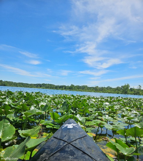 BEAUTIFUL DAY ON THE LAKE | image tagged in lake,kayak | made w/ Imgflip meme maker