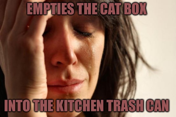 First World Problems | EMPTIES THE CAT BOX; INTO THE KITCHEN TRASH CAN | image tagged in memes,first world problems,trash can,white trash,bad memes,nasty woman | made w/ Imgflip meme maker