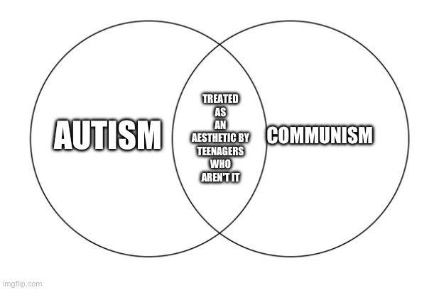 Edgy teenagers | COMMUNISM; AUTISM; TREATED AS AN AESTHETIC BY TEENAGERS WHO AREN'T IT | image tagged in venn diagram | made w/ Imgflip meme maker