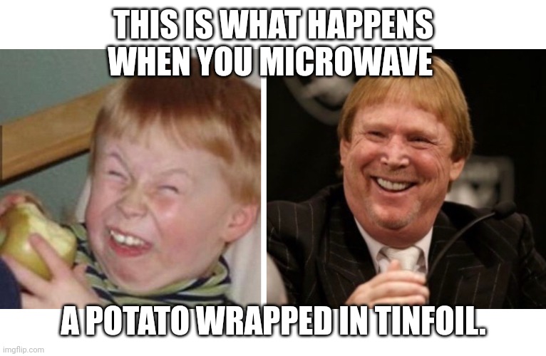 Mark Davis Idiot | THIS IS WHAT HAPPENS WHEN YOU MICROWAVE; A POTATO WRAPPED IN TINFOIL. | image tagged in mark davis idiot | made w/ Imgflip meme maker