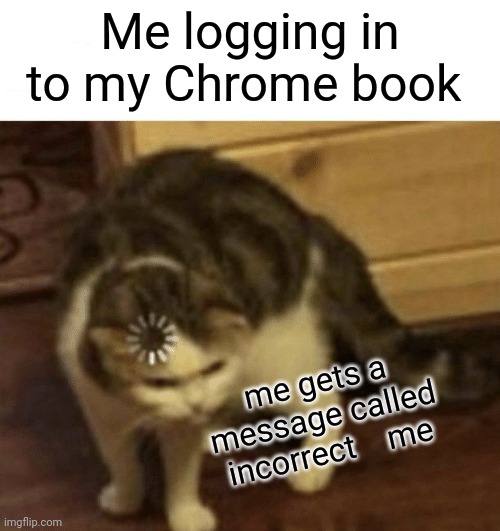 I mess up every time | Me logging in to my Chrome book; me gets a message called incorrect    me | image tagged in cat loading template | made w/ Imgflip meme maker