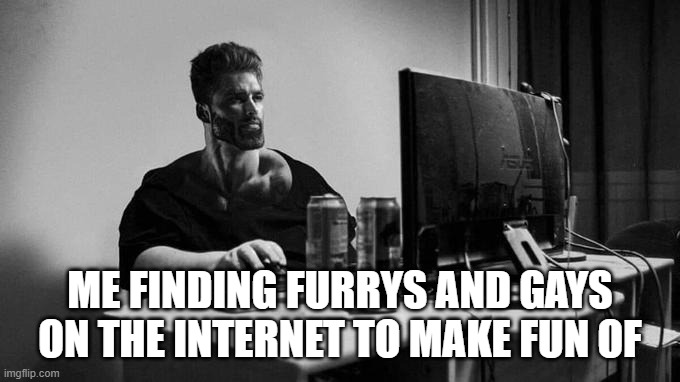 Gigachad On The Computer | ME FINDING FURRYS AND GAYS ON THE INTERNET TO MAKE FUN OF | image tagged in gigachad on the computer | made w/ Imgflip meme maker