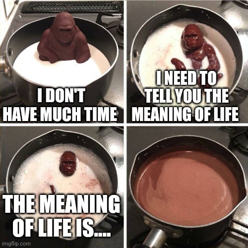 The meaning of life | I DON'T HAVE MUCH TIME; I NEED TO TELL YOU THE MEANING OF LIFE; THE MEANING OF LIFE IS.... | image tagged in chocolate gorilla,jpfan102504 | made w/ Imgflip meme maker